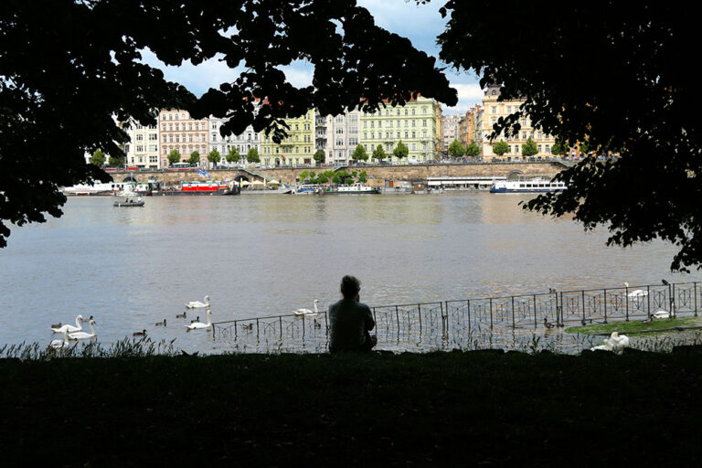 Strolling along the Riverbanks